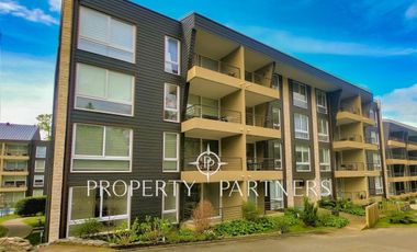 Moderno departamento en Pucón, camino al volcán