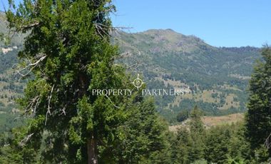 Parcelas ecológicas en Curarrehue, sector Panqui.