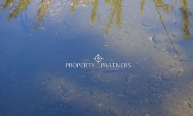 Parcelas ecológicas en Curarrehue, sector Panqui.