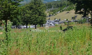 Parcelas ecológicas en Curarrehue, sector Panqui.