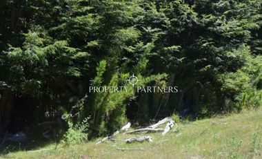 Parcelas ecológicas en Curarrehue, sector Panqui.