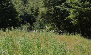 Parcelas ecológicas en Curarrehue, sector Panqui.