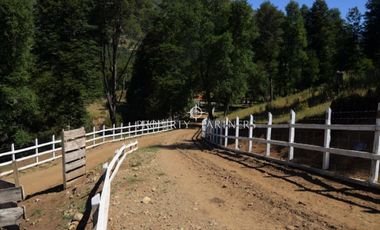 Parcelas ecológicas en Curarrehue, sector Panqui.