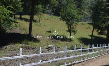 Parcelas ecológicas en Curarrehue, sector Panqui.