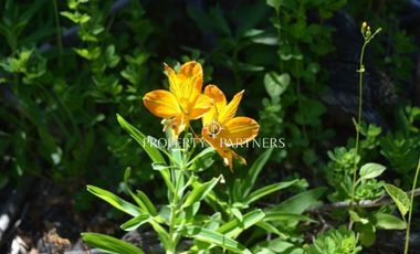Parcelas ecológicas en Curarrehue, sector Panqui.