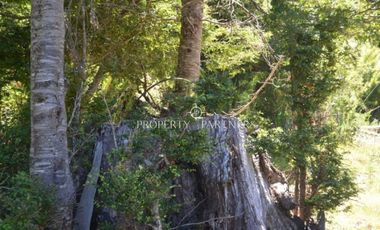 Parcelas ecológicas en Curarrehue, sector Panqui.