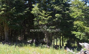 Parcelas ecológicas en Curarrehue, sector Panqui.