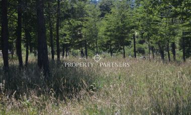 Parcelas ecológicas en Curarrehue, sector Panqui.