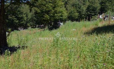 Parcelas ecológicas en Curarrehue, sector Panqui.