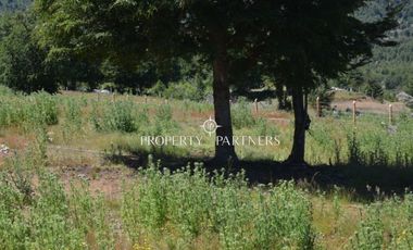 Parcelas ecológicas en Curarrehue, sector Panqui.