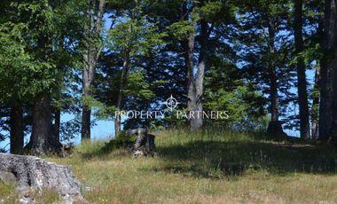 Parcelas ecológicas en Curarrehue, sector Panqui.