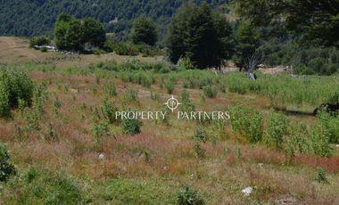 Parcelas ecológicas en Curarrehue, sector Panqui.