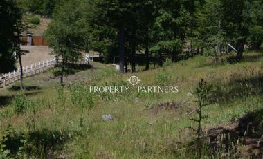 Parcelas ecológicas en Curarrehue, sector Panqui.