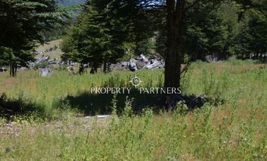 Parcelas ecológicas en Curarrehue, sector Panqui.