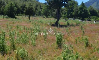 Parcelas ecológicas en Curarrehue, sector Panqui.