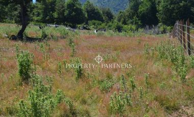 Parcelas ecológicas en Curarrehue, sector Panqui.