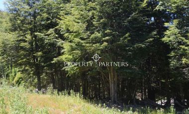 Parcelas ecológicas en Curarrehue, sector Panqui.