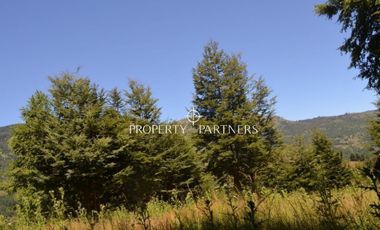 Parcelas ecológicas en Curarrehue, sector Panqui.