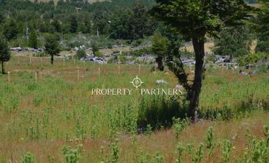 Parcelas ecológicas en Curarrehue, sector Panqui.