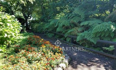 Departamento en Pucón, con excelente ubicación