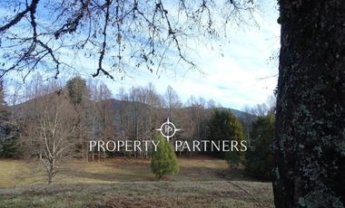 Hermosas Parcelas a orillas de Laguna.