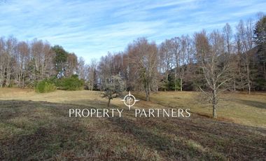 Hermosas Parcelas a orillas de Laguna.