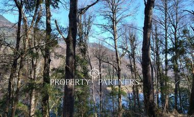 Hermosas Parcelas a orillas de Laguna.