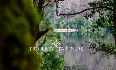 Hermosas Parcelas a orillas de Laguna.