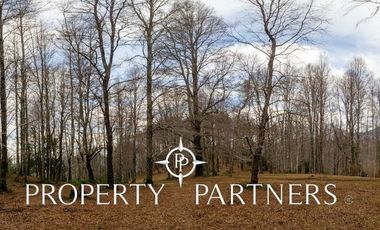 Hermosas Parcelas a orillas de Laguna.