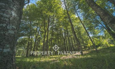 Hermosas Parcelas a orillas de Laguna.