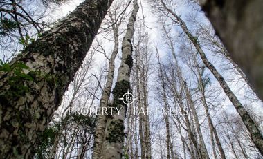 Hermosas Parcelas a orillas de Laguna.