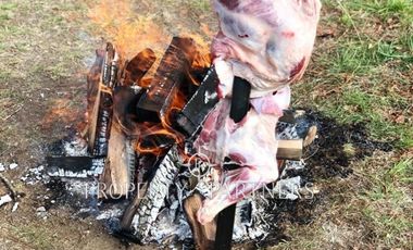 Casa con diseño estilo galpón