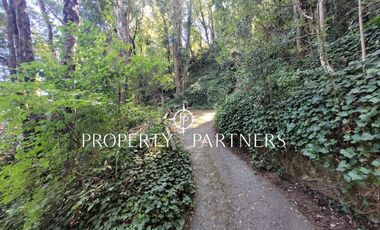 Hermosa casa a orillas del Lago Caburgua