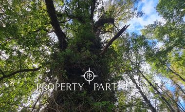 Espectacular casa con certificación de Vivienda Sustentable