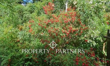 Espectacular casa con certificación de Vivienda Sustentable