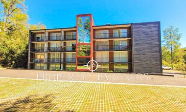 Cómodo Departamento estudio en Pucón