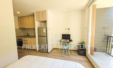 Cómodo Departamento estudio en Pucón