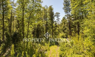 Preciosos terrenos con vista al cerro las Peinetas.