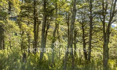 Preciosos terrenos con vista al cerro las Peinetas.