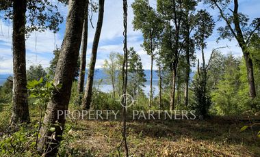 Terreno ribera norte lago Villarrica