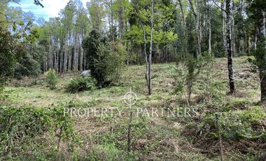 Terreno ribera norte lago Villarrica