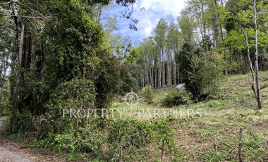 Terreno ribera norte lago Villarrica