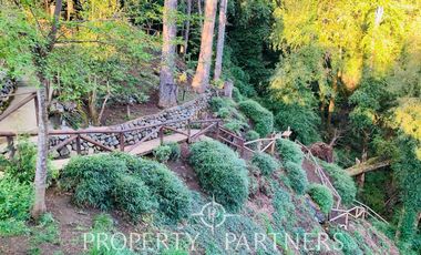 Increíble Campo Menetue ideal para proyecto turístico