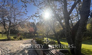 Increíble Campo Menetue ideal para proyecto turístico