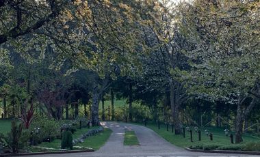 Increíble Campo Menetue ideal para proyecto turístico