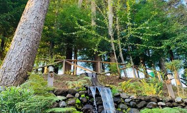 Increíble Campo Menetue ideal para proyecto turístico