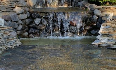 Increíble Campo Menetue ideal para proyecto turístico