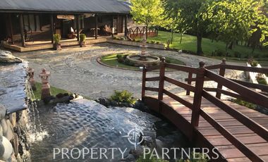 Increíble Campo Menetue ideal para proyecto turístico