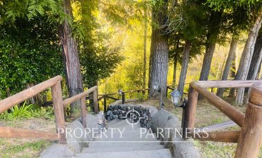 Increíble Campo Menetue ideal para proyecto turístico