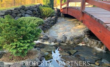 Increíble Campo Menetue ideal para proyecto turístico